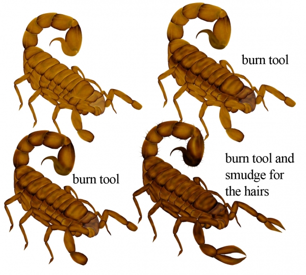 Creation of Wheat Scorpion: Step 3